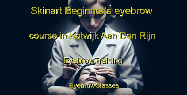 Skinart Beginner's eyebrow course in Katwijk Aan Den Rijn | EyebrowTraining | EyebrowClasses | SkinartTraining-Netherlands