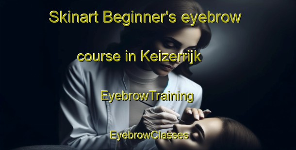 Skinart Beginner's eyebrow course in Keizerrijk | EyebrowTraining | EyebrowClasses | SkinartTraining-Netherlands