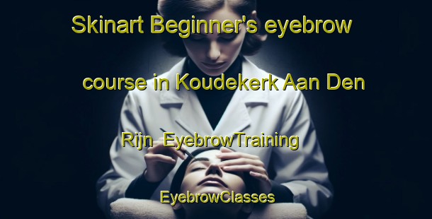 Skinart Beginner's eyebrow course in Koudekerk Aan Den Rijn | EyebrowTraining | EyebrowClasses | SkinartTraining-Netherlands