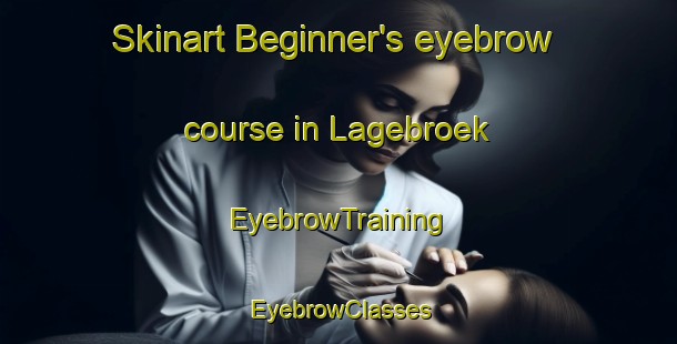 Skinart Beginner's eyebrow course in Lagebroek | EyebrowTraining | EyebrowClasses | SkinartTraining-Netherlands