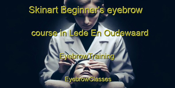 Skinart Beginner's eyebrow course in Lede En Oudewaard | EyebrowTraining | EyebrowClasses | SkinartTraining-Netherlands