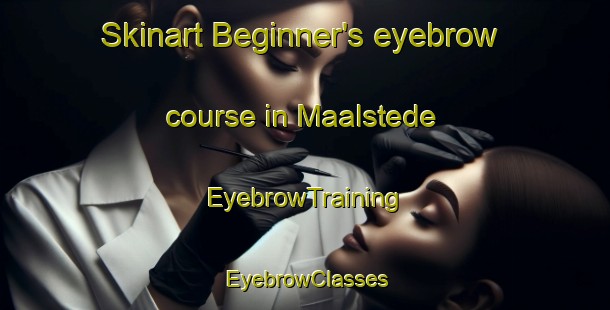 Skinart Beginner's eyebrow course in Maalstede | EyebrowTraining | EyebrowClasses | SkinartTraining-Netherlands