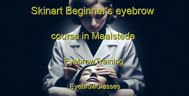 Skinart Beginner's eyebrow course in Maalstede | EyebrowTraining | EyebrowClasses | SkinartTraining-Netherlands