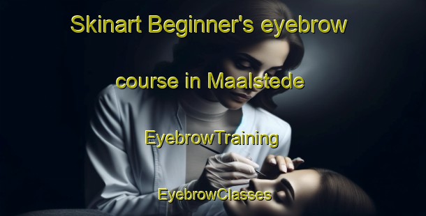 Skinart Beginner's eyebrow course in Maalstede | EyebrowTraining | EyebrowClasses | SkinartTraining-Netherlands