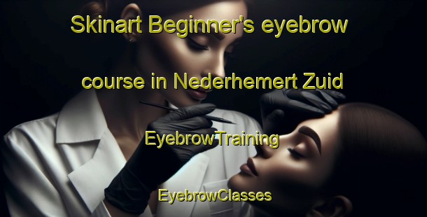 Skinart Beginner's eyebrow course in Nederhemert Zuid | EyebrowTraining | EyebrowClasses | SkinartTraining-Netherlands