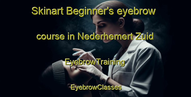 Skinart Beginner's eyebrow course in Nederhemert Zuid | EyebrowTraining | EyebrowClasses | SkinartTraining-Netherlands