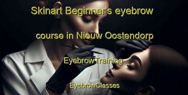 Skinart Beginner's eyebrow course in Nieuw Oostendorp | EyebrowTraining | EyebrowClasses | SkinartTraining-Netherlands