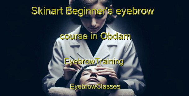Skinart Beginner's eyebrow course in Obdam | EyebrowTraining | EyebrowClasses | SkinartTraining-Netherlands