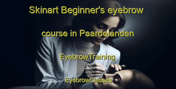 Skinart Beginner's eyebrow course in Paardelanden | EyebrowTraining | EyebrowClasses | SkinartTraining-Netherlands
