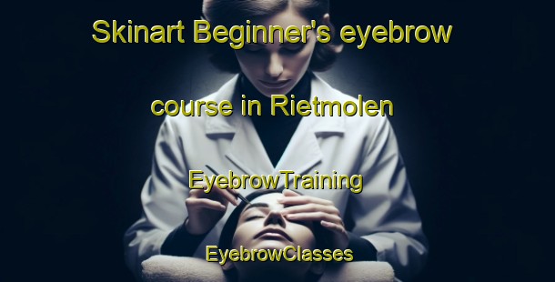 Skinart Beginner's eyebrow course in Rietmolen | EyebrowTraining | EyebrowClasses | SkinartTraining-Netherlands