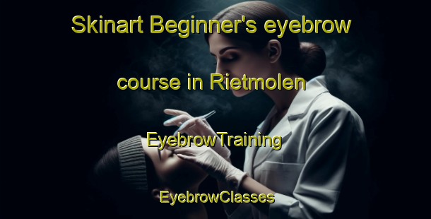 Skinart Beginner's eyebrow course in Rietmolen | EyebrowTraining | EyebrowClasses | SkinartTraining-Netherlands