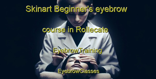 Skinart Beginner's eyebrow course in Rollecate | EyebrowTraining | EyebrowClasses | SkinartTraining-Netherlands