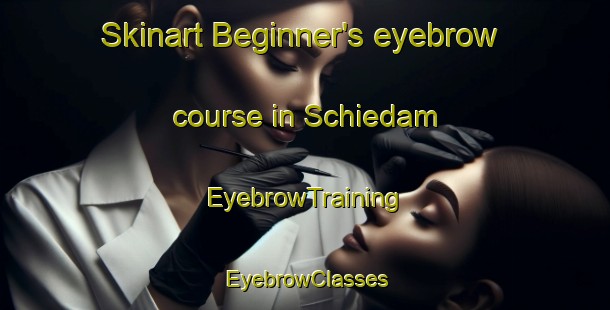 Skinart Beginner's eyebrow course in Schiedam | EyebrowTraining | EyebrowClasses | SkinartTraining-Netherlands