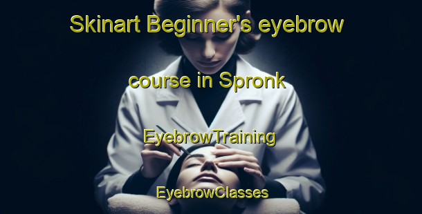 Skinart Beginner's eyebrow course in Spronk | EyebrowTraining | EyebrowClasses | SkinartTraining-Netherlands
