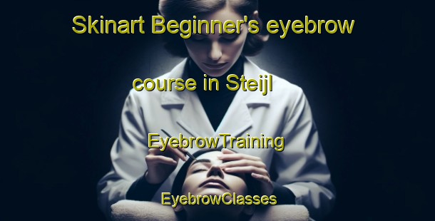 Skinart Beginner's eyebrow course in Steijl | EyebrowTraining | EyebrowClasses | SkinartTraining-Netherlands