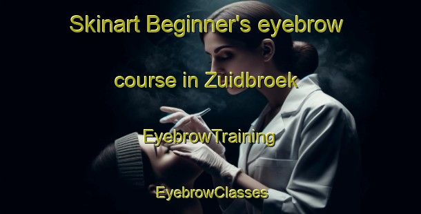 Skinart Beginner's eyebrow course in Zuidbroek | EyebrowTraining | EyebrowClasses | SkinartTraining-Netherlands