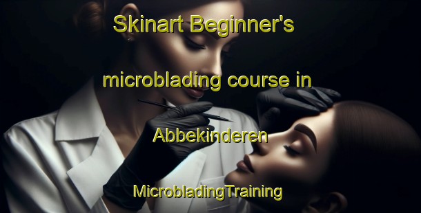 Skinart Beginner's microblading course in Abbekinderen | #MicrobladingTraining #MicrobladingClasses #SkinartTraining-Netherlands