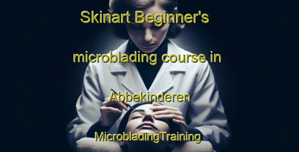 Skinart Beginner's microblading course in Abbekinderen | #MicrobladingTraining #MicrobladingClasses #SkinartTraining-Netherlands