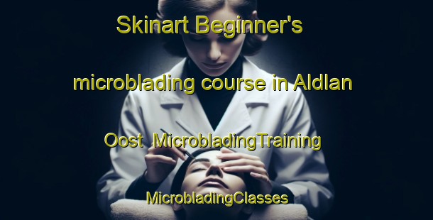 Skinart Beginner's microblading course in Aldlan Oost | #MicrobladingTraining #MicrobladingClasses #SkinartTraining-Netherlands