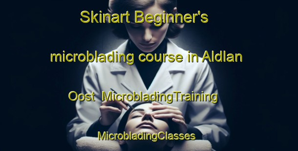 Skinart Beginner's microblading course in Aldlan Oost | MicrobladingTraining | MicrobladingClasses | SkinartTraining-Netherlands