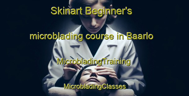 Skinart Beginner's microblading course in Baarlo | #MicrobladingTraining #MicrobladingClasses #SkinartTraining-Netherlands