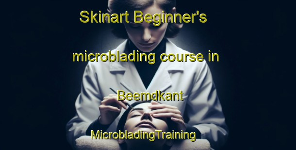 Skinart Beginner's microblading course in Beemdkant | MicrobladingTraining | MicrobladingClasses | SkinartTraining-Netherlands