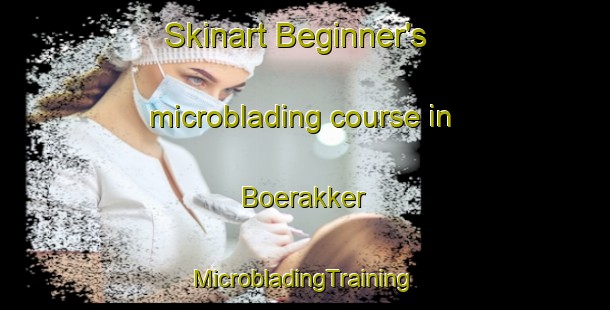 Skinart Beginner's microblading course in Boerakker | #MicrobladingTraining #MicrobladingClasses #SkinartTraining-Netherlands