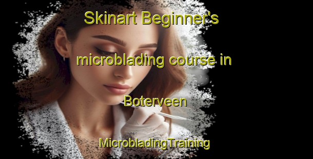 Skinart Beginner's microblading course in Boterveen | #MicrobladingTraining #MicrobladingClasses #SkinartTraining-Netherlands