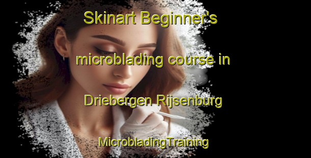 Skinart Beginner's microblading course in Driebergen Rijsenburg | #MicrobladingTraining #MicrobladingClasses #SkinartTraining-Netherlands