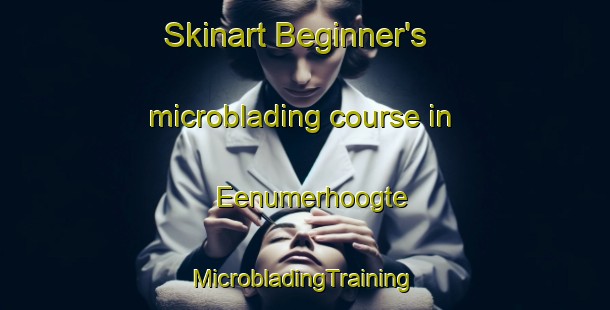 Skinart Beginner's microblading course in Eenumerhoogte | #MicrobladingTraining #MicrobladingClasses #SkinartTraining-Netherlands