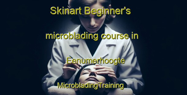 Skinart Beginner's microblading course in Eenumerhoogte | MicrobladingTraining | MicrobladingClasses | SkinartTraining-Netherlands