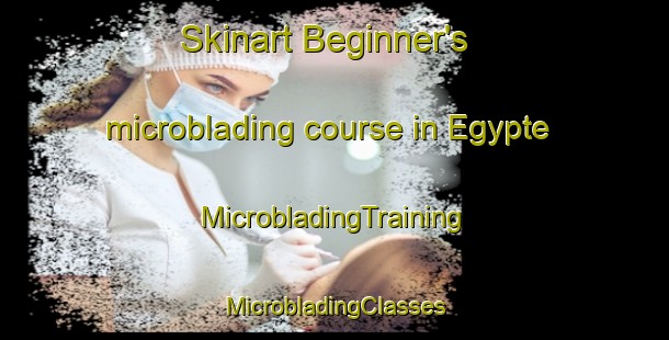 Skinart Beginner's microblading course in Egypte | #MicrobladingTraining #MicrobladingClasses #SkinartTraining-Netherlands