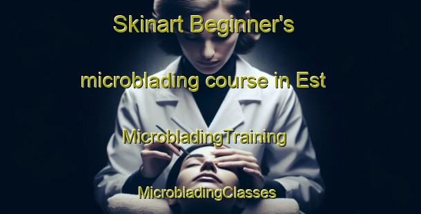 Skinart Beginner's microblading course in Est | MicrobladingTraining | MicrobladingClasses | SkinartTraining-Netherlands