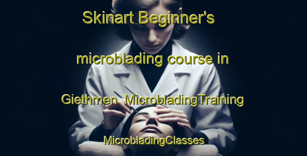 Skinart Beginner's microblading course in Giethmen | #MicrobladingTraining #MicrobladingClasses #SkinartTraining-Netherlands