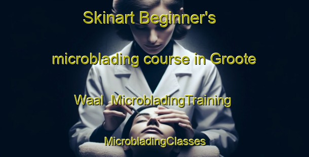 Skinart Beginner's microblading course in Groote Waal | #MicrobladingTraining #MicrobladingClasses #SkinartTraining-Netherlands