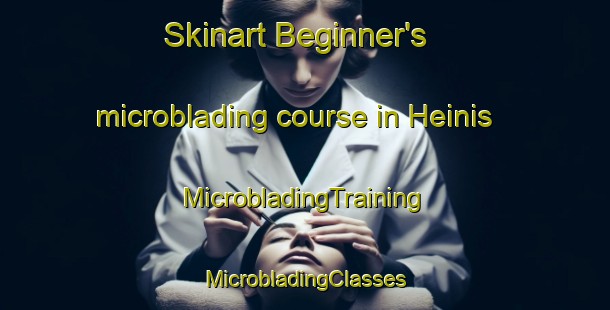 Skinart Beginner's microblading course in Heinis | #MicrobladingTraining #MicrobladingClasses #SkinartTraining-Netherlands