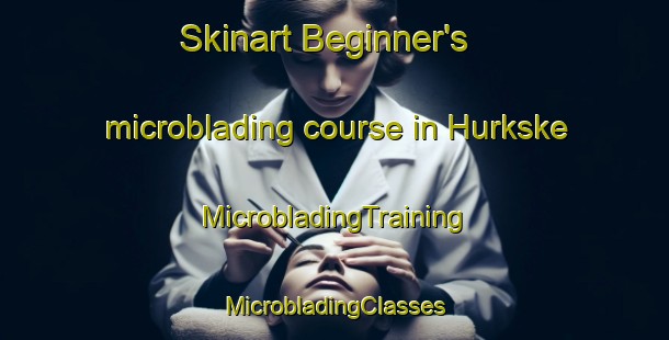 Skinart Beginner's microblading course in Hurkske | #MicrobladingTraining #MicrobladingClasses #SkinartTraining-Netherlands