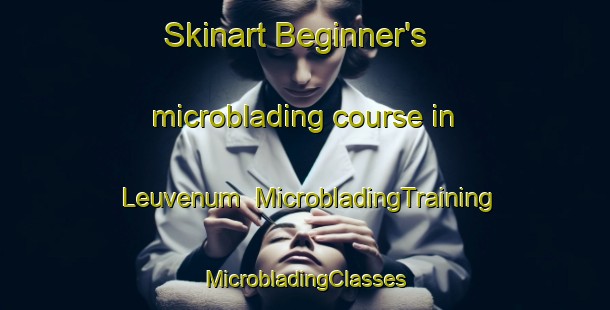 Skinart Beginner's microblading course in Leuvenum | #MicrobladingTraining #MicrobladingClasses #SkinartTraining-Netherlands