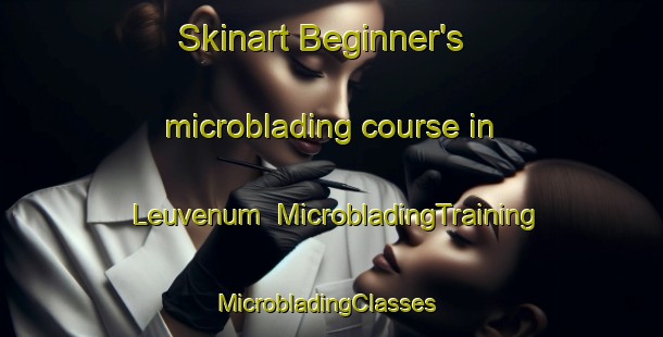 Skinart Beginner's microblading course in Leuvenum | MicrobladingTraining | MicrobladingClasses | SkinartTraining-Netherlands