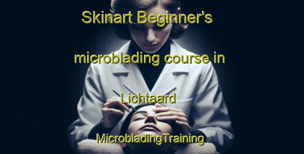 Skinart Beginner's microblading course in Lichtaard | #MicrobladingTraining #MicrobladingClasses #SkinartTraining-Netherlands