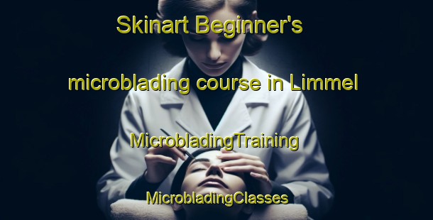 Skinart Beginner's microblading course in Limmel | #MicrobladingTraining #MicrobladingClasses #SkinartTraining-Netherlands