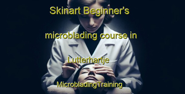 Skinart Beginner's microblading course in Lutterhartje | MicrobladingTraining | MicrobladingClasses | SkinartTraining-Netherlands