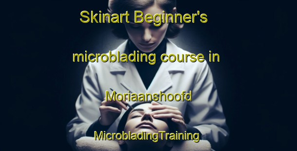 Skinart Beginner's microblading course in Moriaanshoofd | #MicrobladingTraining #MicrobladingClasses #SkinartTraining-Netherlands