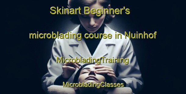 Skinart Beginner's microblading course in Nuinhof | #MicrobladingTraining #MicrobladingClasses #SkinartTraining-Netherlands