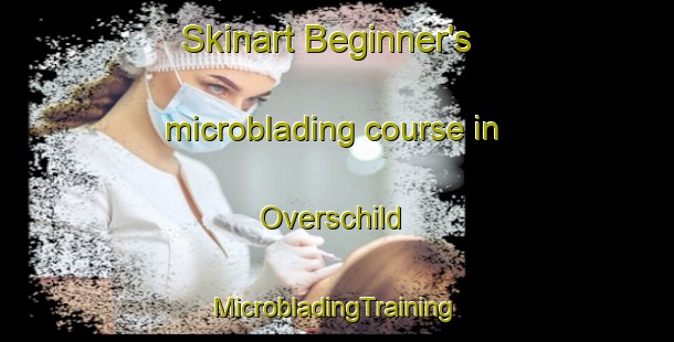 Skinart Beginner's microblading course in Overschild | #MicrobladingTraining #MicrobladingClasses #SkinartTraining-Netherlands