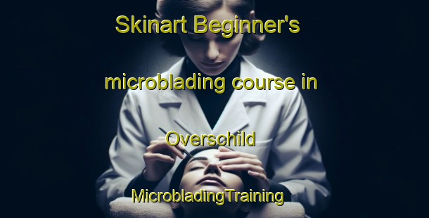 Skinart Beginner's microblading course in Overschild | MicrobladingTraining | MicrobladingClasses | SkinartTraining-Netherlands