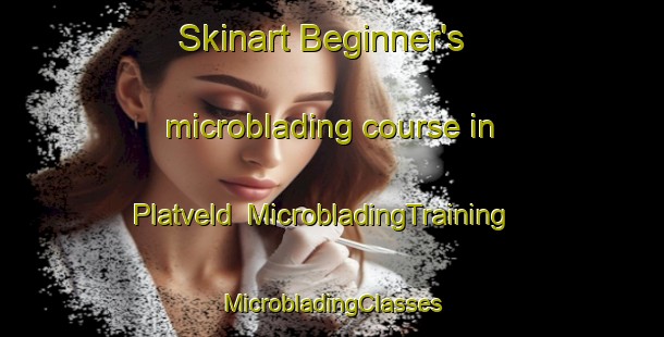 Skinart Beginner's microblading course in Platveld | #MicrobladingTraining #MicrobladingClasses #SkinartTraining-Netherlands