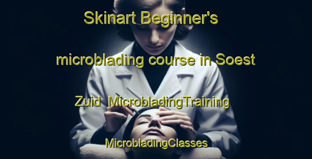 Skinart Beginner's microblading course in Soest Zuid | #MicrobladingTraining #MicrobladingClasses #SkinartTraining-Netherlands