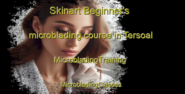 Skinart Beginner's microblading course in Tersoal | MicrobladingTraining | MicrobladingClasses | SkinartTraining-Netherlands