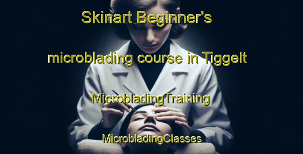 Skinart Beginner's microblading course in Tiggelt | #MicrobladingTraining #MicrobladingClasses #SkinartTraining-Netherlands